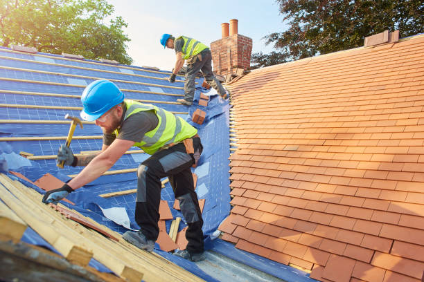 Best Roof Maintenance and Cleaning  in Gluckstadt, MS
